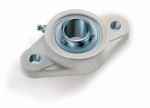 2 Bolt Oval Thermoplastic RHP Housed Bearing 25mm