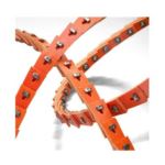 NuTLinkV Belt Z Section 5 Mtrs